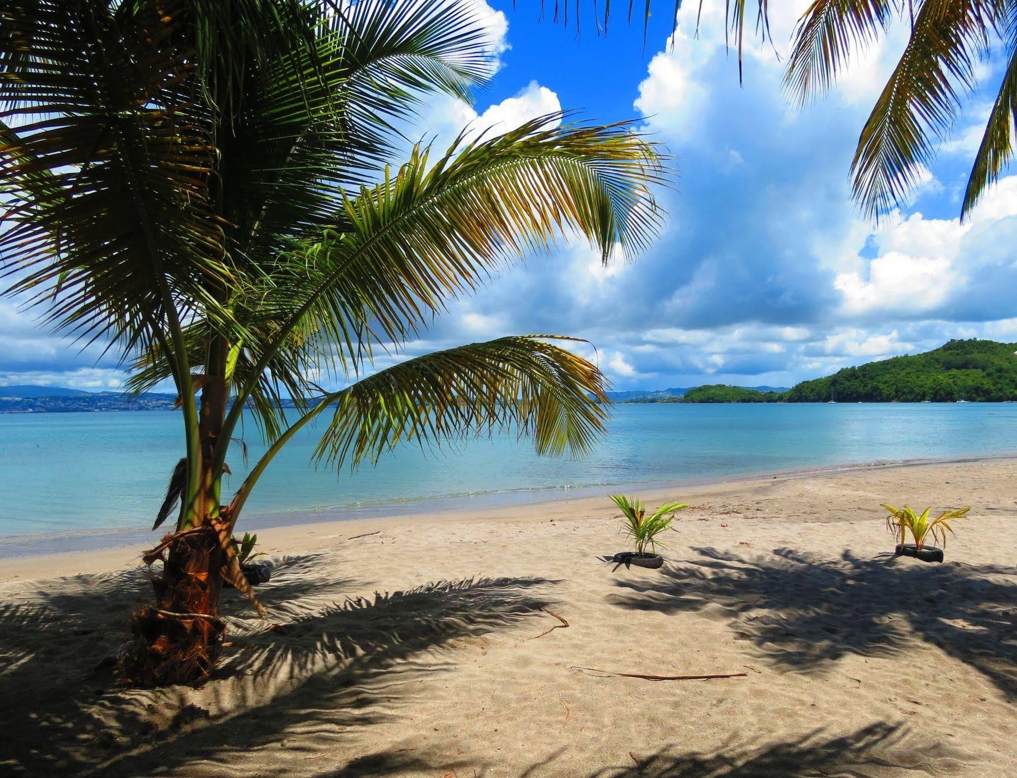 Domaine De L'Anse Ramier Aparthotel Les Trois-Ilets Ngoại thất bức ảnh